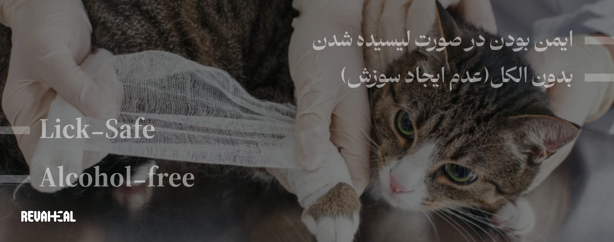 اسپری ضدعفونی کننده و ترمیم کننده زخم حیوانات. اسپری زخم سگ و گربه. اسپری زخم پرندگان و خزندگان